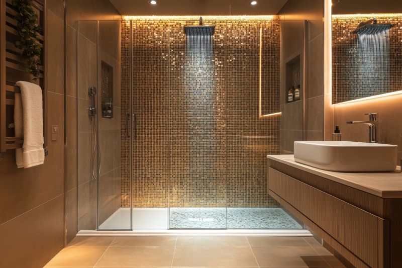 Spacious Shower Designs